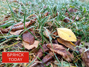 В Брянской области температура приблизится к критической отметке