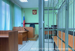 Житель Брянска арестован за нападение на участкового