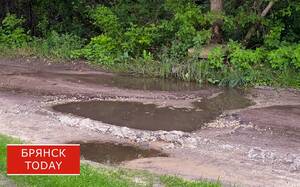 Залил ручей нечистотами: суд взыскал с Жуковского водоканала почти 50 миллионов