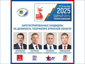 Все четыре кандидата в брянские губернаторы приступают к предвыборной агитации