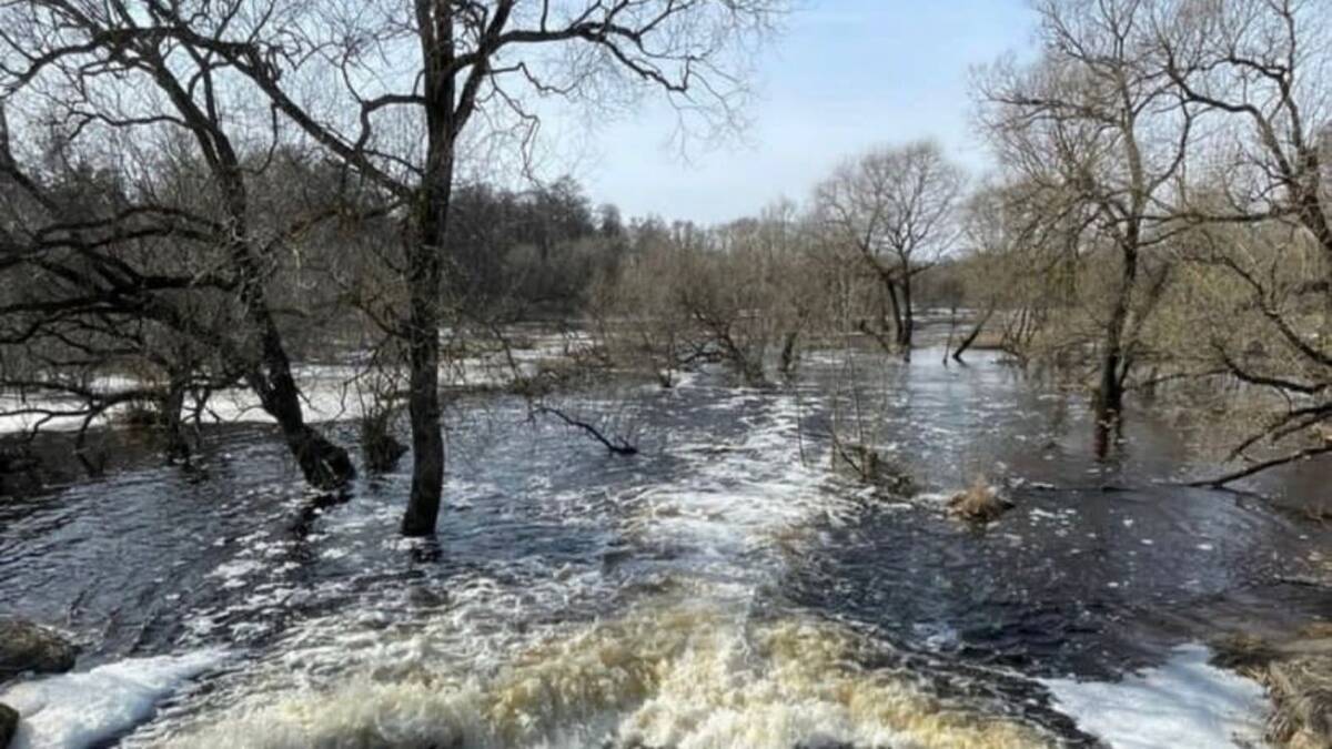 В Брянске начался активный паводок | 26.03.2024 | Брянск - БезФормата