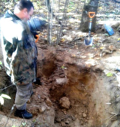 Брянские поисковики нашли останки четырех красноармейцев