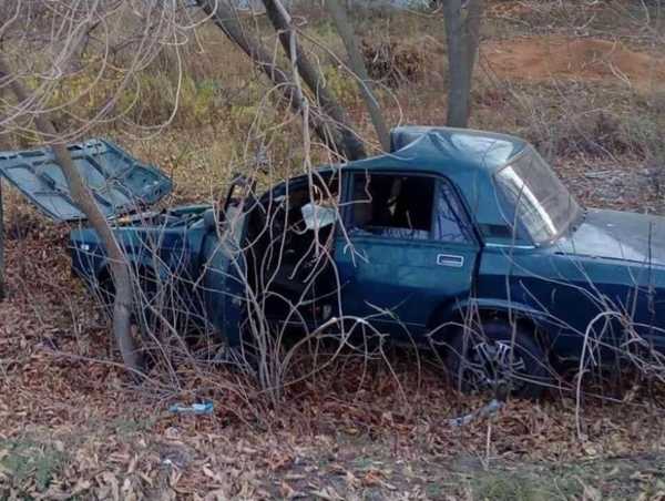 На брянской трассе ВАЗ протаранил дерево: ранены 2 человека