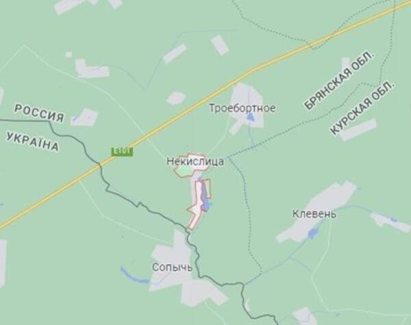 Со стороны Украины обстреляно село Некислицы в Брянской области