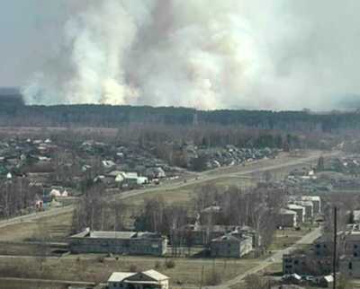 Брянские лесные видеокамеры заметили 6 пожаров на территории Белоруссии