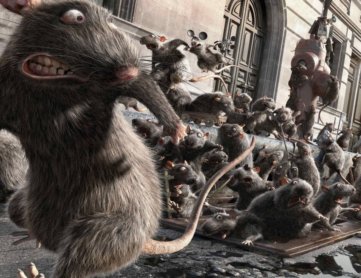 Арт крысы