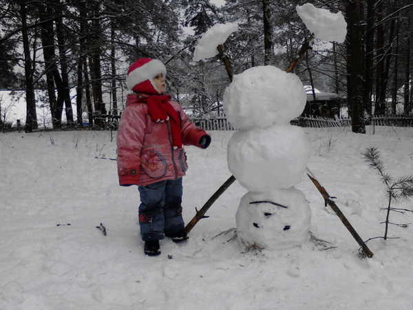 Брянцы выбирают лучшего «ART-снеговика»