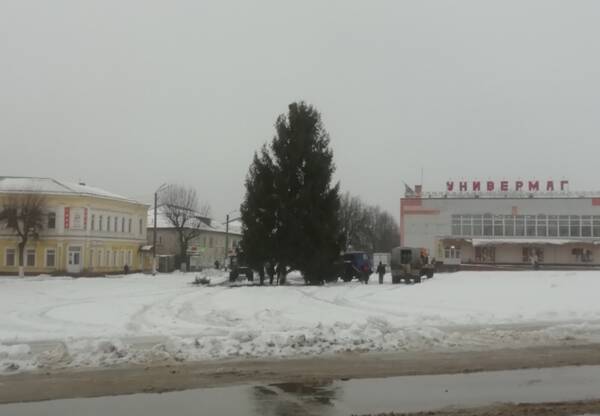 В Климово на площади установили новогоднюю елку