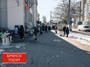 Брянцев встревожили выстрелы в центре Бежицы