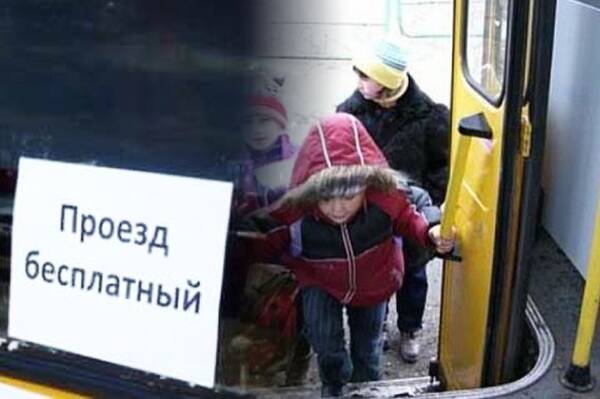 В 2021 году брянским многодетным семьям на бесплатный проезд выделили 33 млн рублей
