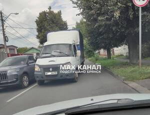 В Брянске 67-летнего водителя «Газели» наказали по видео из соцсети