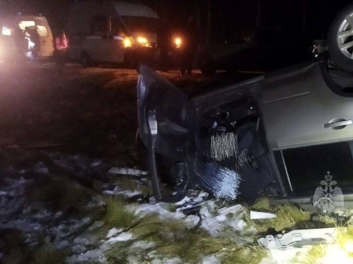 Под Дубровкой водитель иномарки уснул за рулем и погубил 3 человек