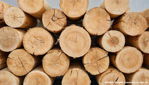 Качественные пиломатериалы от производителя - планкен из лиственницы по доступной цене