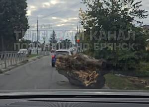 Война продолжается: жители Плодородной в Брянске перекрыли дорогу