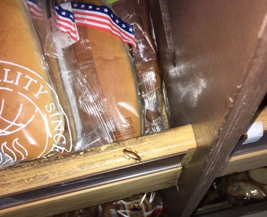 Брянские супермаркеты атаковали наглые тараканы
