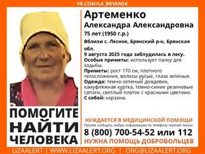 Под Брянском ищут заблудившуюся в лесу 75-летнюю Александру Артеменко