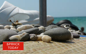 Морская галька: природа в интерьере