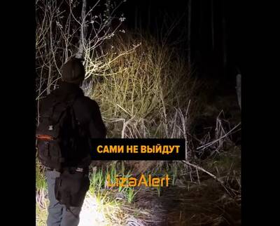 Пятеро 15-летних подростков заблудились в лесу под Брянском