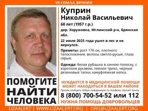 В Брянской области продолжают искать заблудившегося в лесу пенсионера