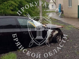 Трое брянцев подожгли чужой «BMW» в Новозыбкове