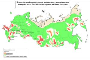«Брянщина в огне»: страшный прогноз может сбыться в июне
