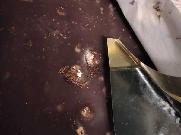 Житель Брянска купил в магазине шоколад с червяками