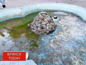 Вместо фонтана в Брянске - бесплатный аквапарк для микробов