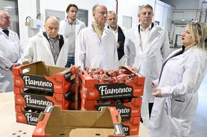 Богомаз и Патрушев посетили тепличный комплекс в Брянской области