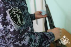 Росгвардия подвела итоги проверки оружейного арсенала брянцев