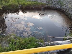 Потоп на Партизанской: жители Отрадного умоляют о помощи