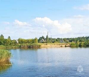 Из озера в Клинцовском районе достали труп 30-летнего мужчины