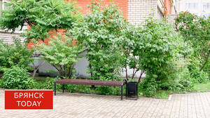 Натуральный камень для мощения дорожек: как выбрать и что учесть