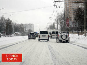 Два предупреждения объявили жителям Брянской области синоптики
