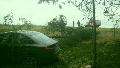 Под Брянском 77-летний водитель «Lada Vesta» врезался в дерево