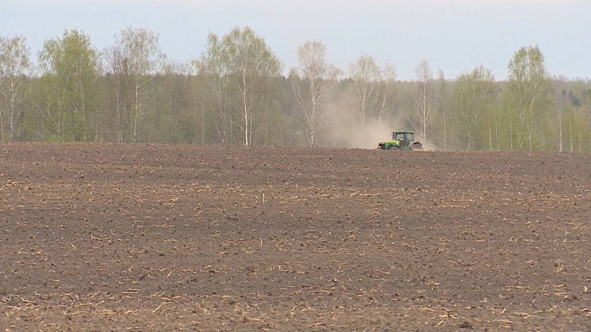 В Брянской области завершена посадка картофеля