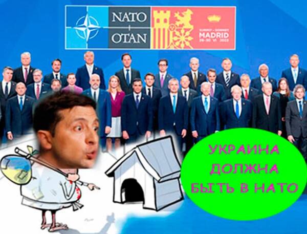 Участники саммита НАТО в Мадриде подбодрили Зеленского, но в свою компанию не пригласили