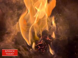 Брянские огнеборцы за сутки ликвидировали четыре техногенных пожара 
