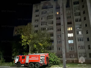 В Брянской области ликвидировали 10 техногенных пожаров