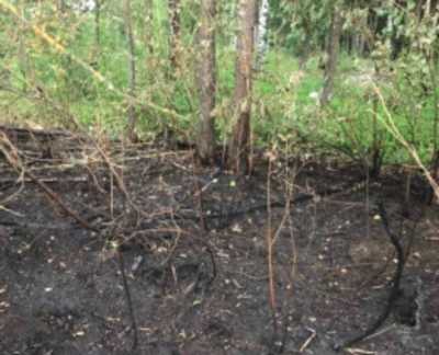 В километре от Брянска больше часа тушили лесной пожар