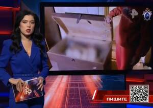 На РЕН ТВ рассказали о жестоком убийстве и трупе в сундуке в Брянской области