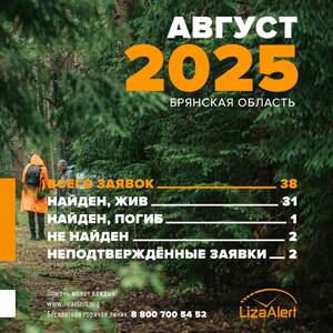 «ЛизаАлерт» нашла живым 31 человека в Брянской области