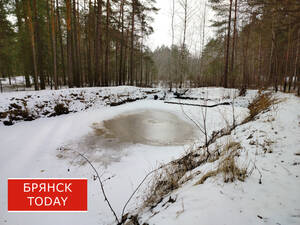 Жителей Климовского района попросили воздержаться от крещенских купаний