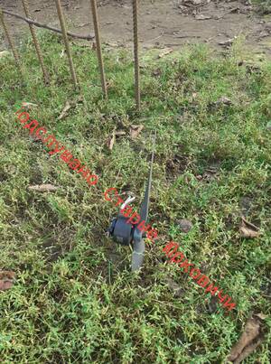 Опубликовали фотографии обломков, из-за которых могли перекрыть дорогу в Климово