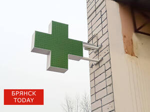 Двоих пострадавших при подрыве моста под Брянском детей выписали из больницы