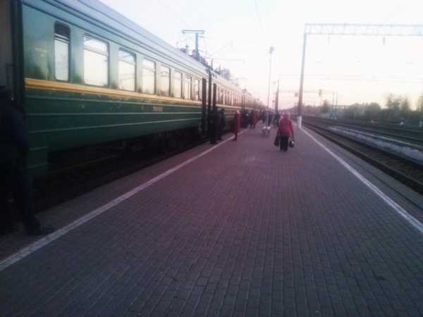 На Брянщине поезд Жуковка-Суземка остановится ещё на 5 платформах