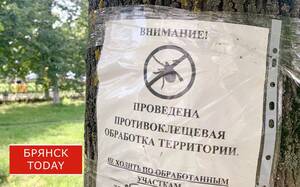 В Брянской области начался сезон клещей