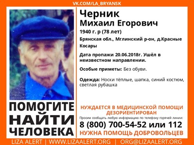 В Брянской области ищут пропавшего 78-летнего Михаила Черника