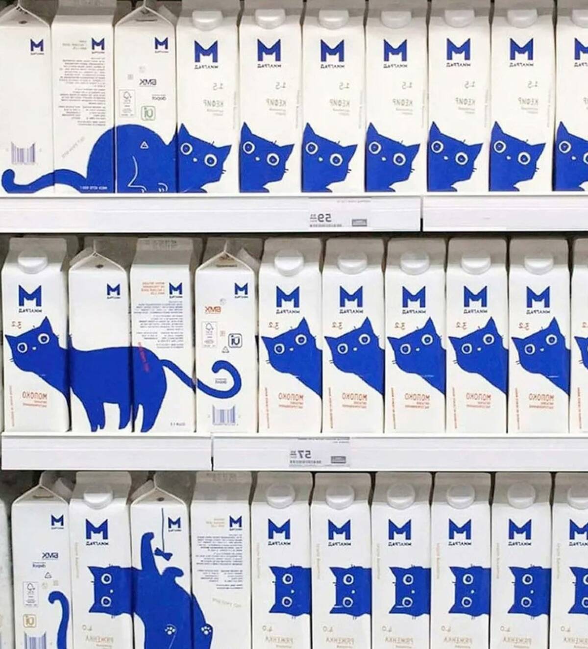 Мерчендайзер постарался: котики от брянского молочного комбината