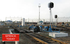 Брянцев предложили автоматически штрафовать за переход ж/д путей в неположенном месте