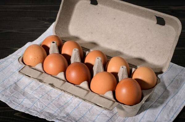 Глисты В Куриных Яйцах Фото